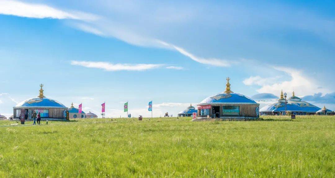 探索新西兰，与自然共舞的梦幻之旅—揭秘新西兰旅游局的魅力新西兰旅游局官网