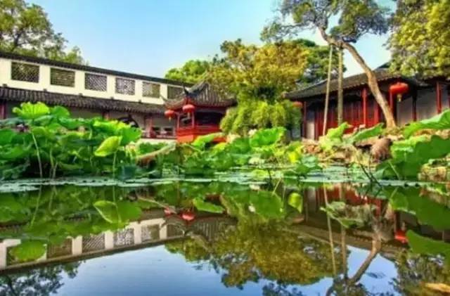 君山区，洞庭湖畔的生态与文化瑰宝君山区政府与上海文博堂座谈