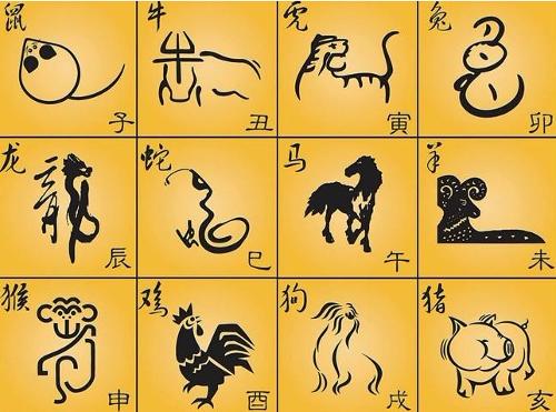 一肖二马—生肖文化中的独特魅力与精神象征一肖二马100%