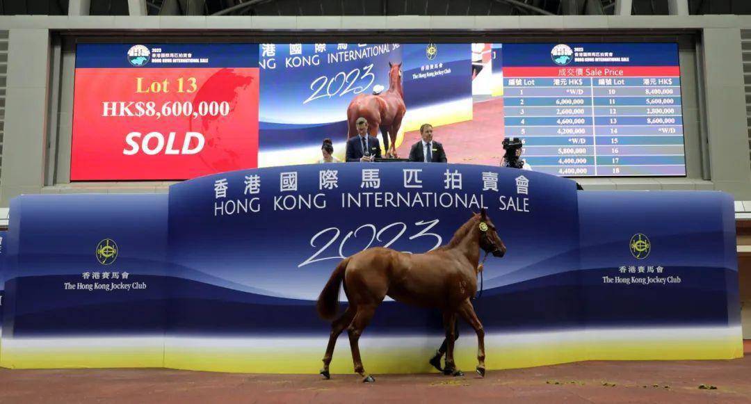 探索2019年香港马会开码结果直播的精彩瞬间与影响