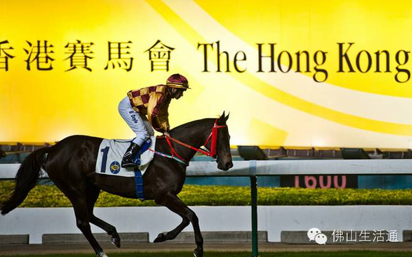 94CC，香港正版的魅力与挑战44499999香的港马会网