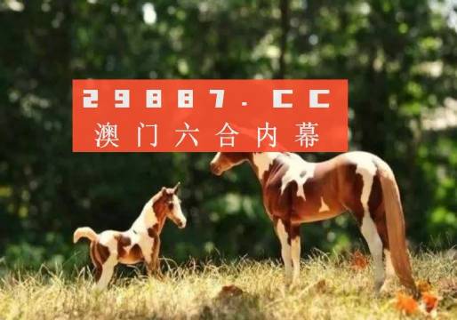探索六合论坛，线上交流的多元平台49图库