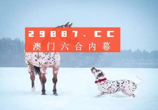 2049澳门资料正版大全，探索未来与传统的交汇2024澳门资料正版大全秀丽多资是什么生肖