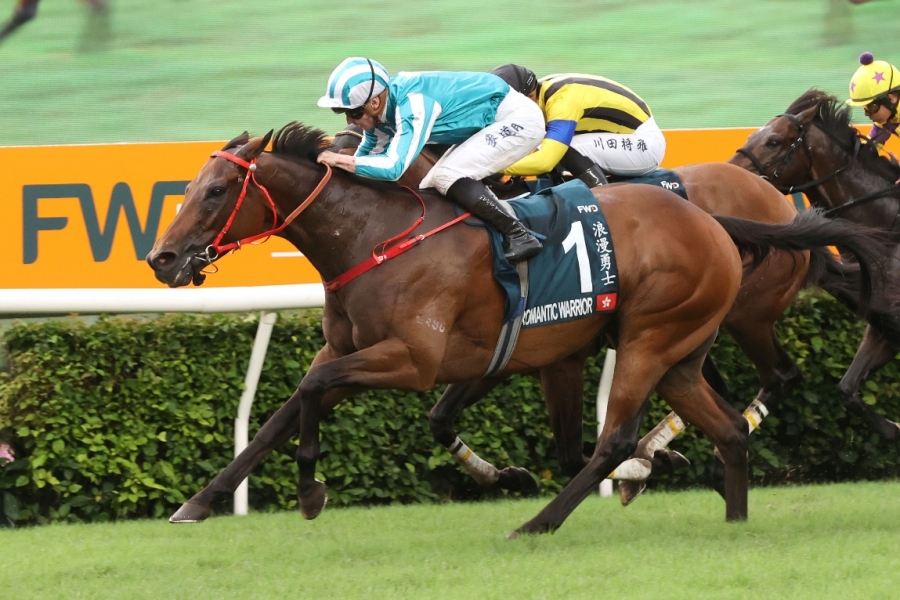 探索香港马会免费资料大全，全面了解赛马的魅力与价值