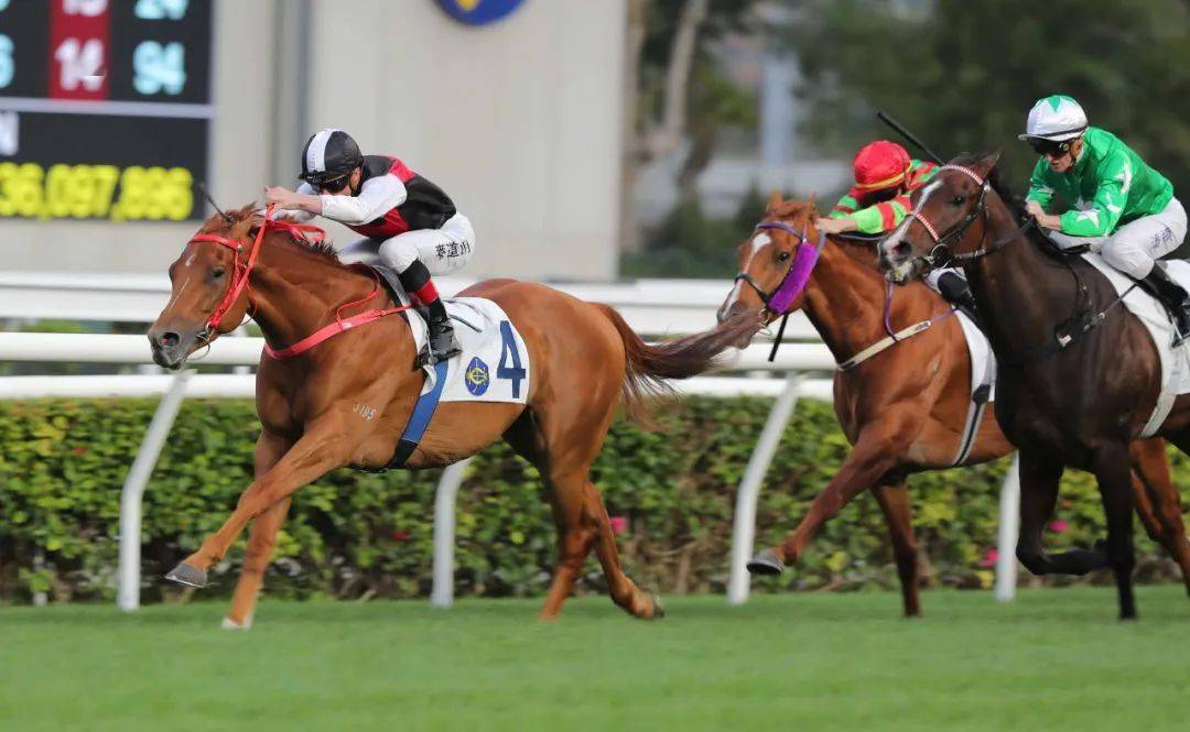 探索香港马会，全面资料大全