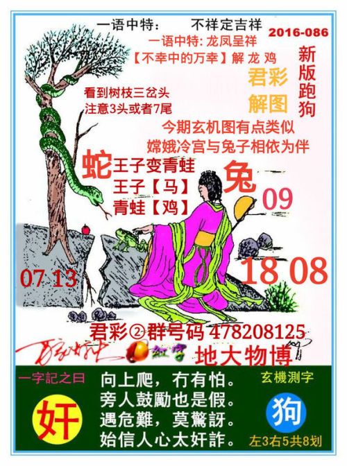 探索新跑狗高清彩图，一场视觉与文化的盛宴新跑狗图+高清自动更新