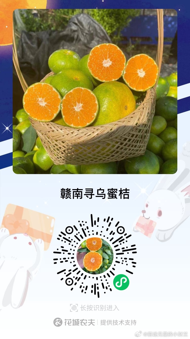 水果奶奶的免费资源大全，解锁健康与美味的双重密码水果奶奶933111c0w