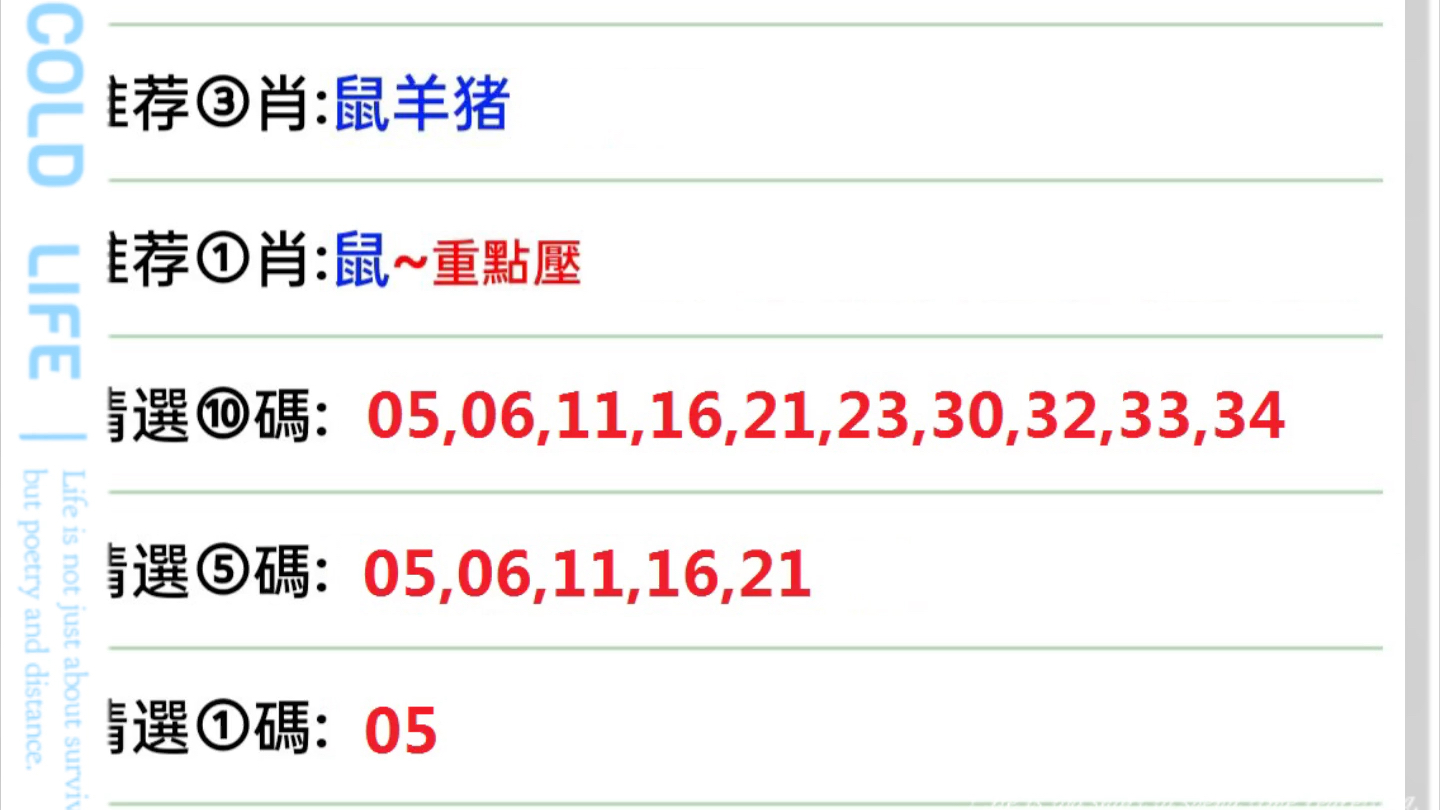 澳门彩今日开奖揭秘，探寻幸运的数字密码新澳门彩今天开什么查询野兽