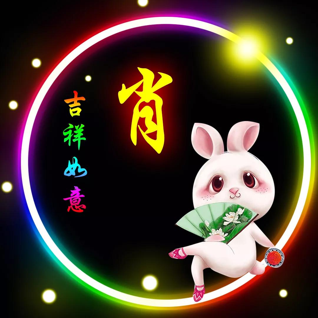 二肖3码
