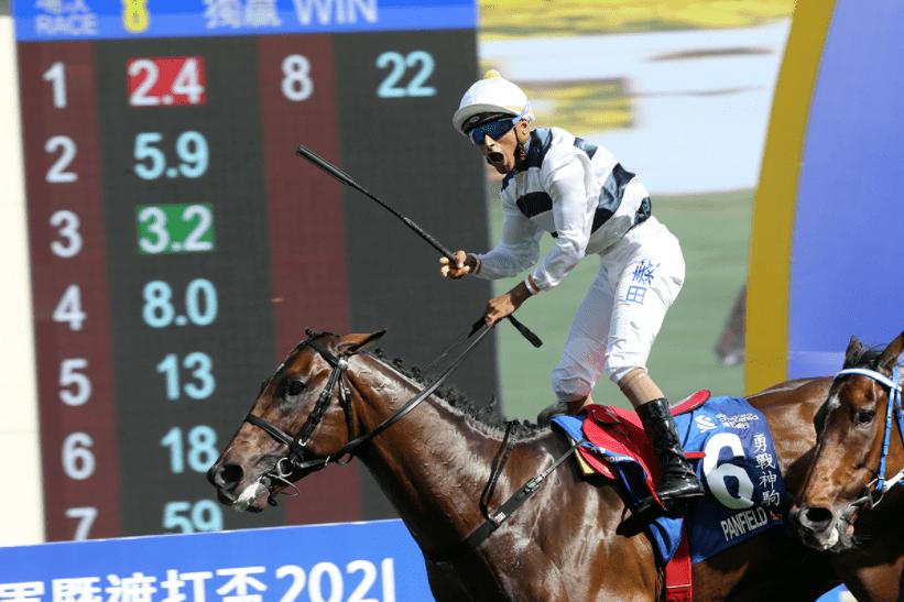 2019年正版马会资料大全，揭秘赛马的智慧与魅力2021马会资料精选免费大全