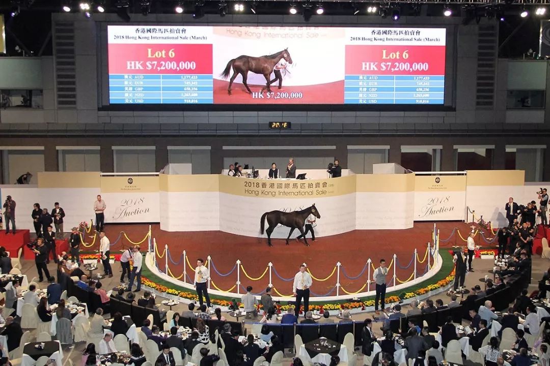 2019年香港开奖速度的革新与挑战香港最快现场开奖结果2019