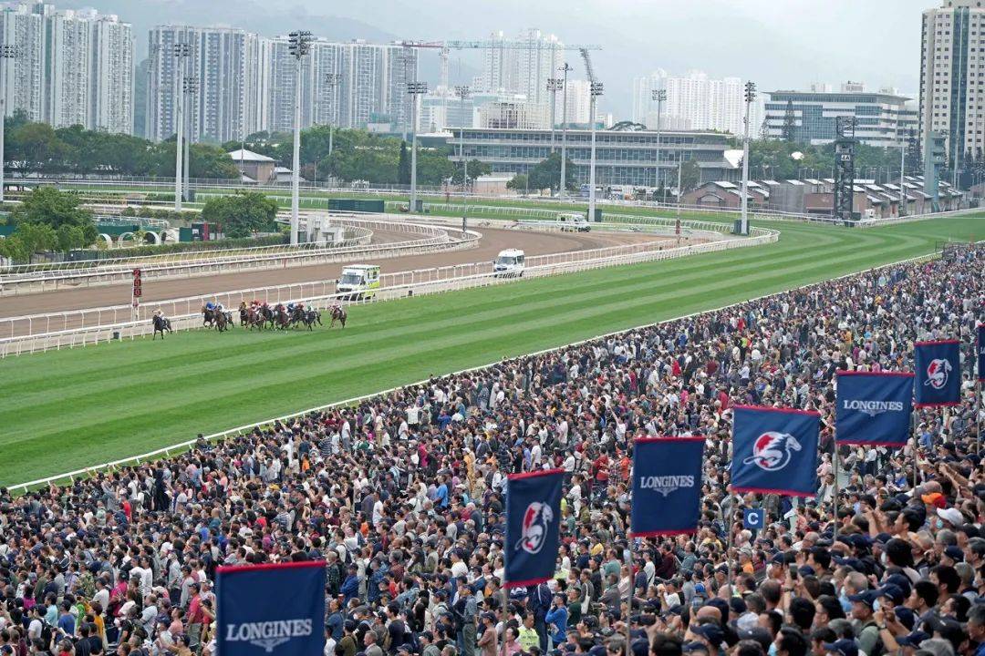 探索香港2019特马开奖的背后，一场数字游戏的魅力与挑战香港特马开奖记录2021