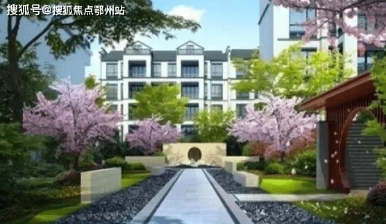 新澳精准资料
