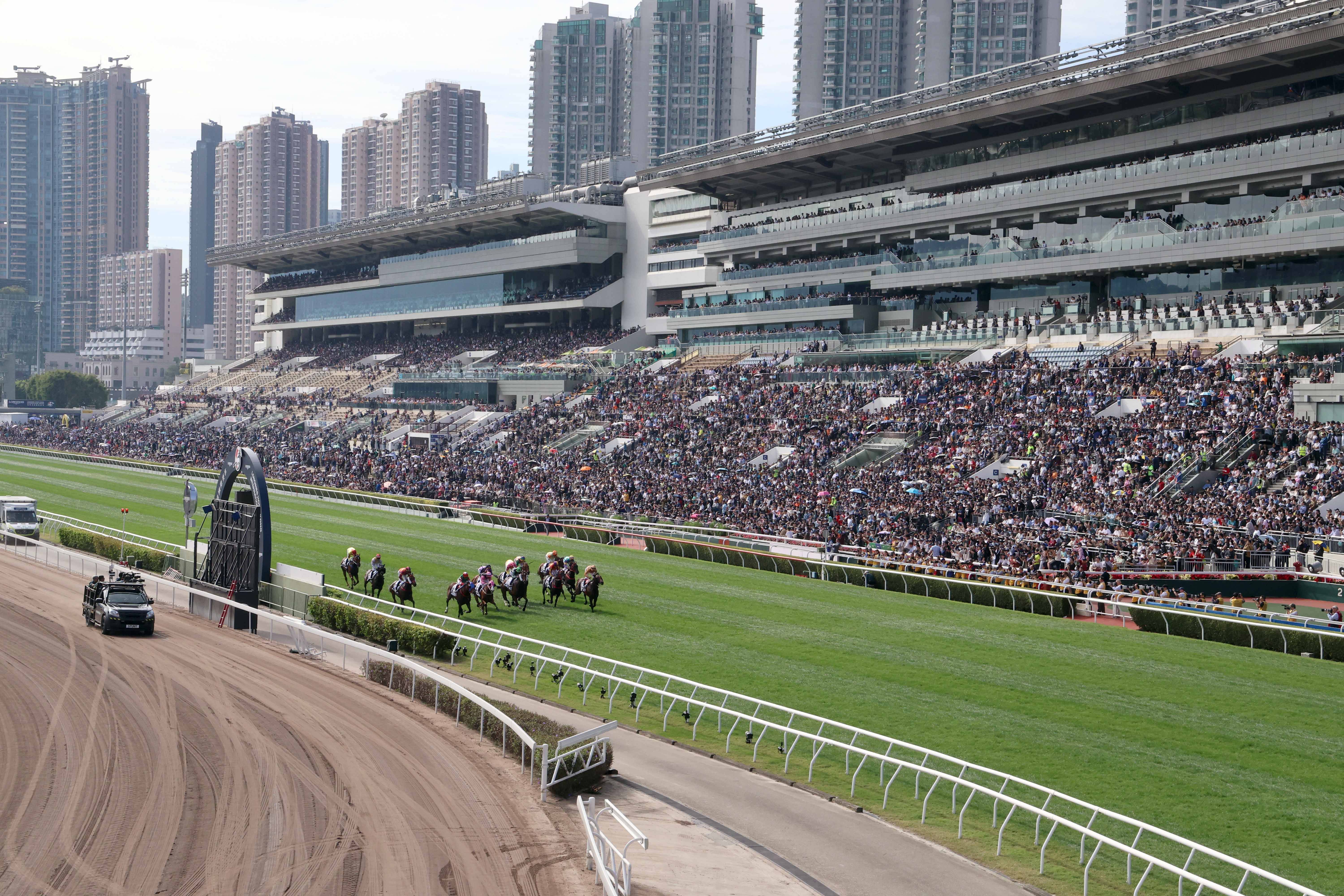 2019香港马会资料大全，免费资源与精彩赛事的完美结合香港2021年马会资料大全