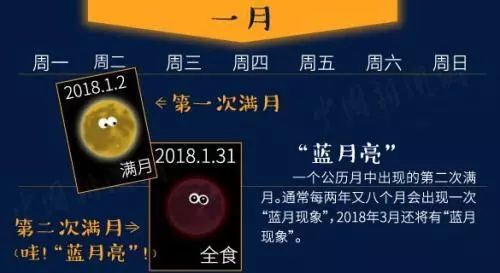蓝月亮全年资料免费大全，解锁生活小窍门与实用指南蓝月亮全年资料免费大全搜索2001年是什么呢?