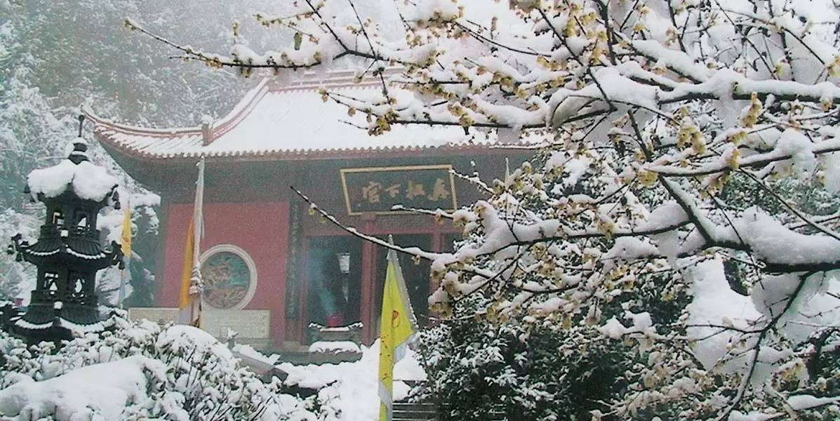 探索黄大仙精准资料，免费更新的奥秘与价值黄大仙精准资料免费更新