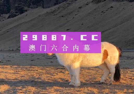 澳门2035精准资料全年免费，探索未来之城的智慧与机遇澳门2023精准资料全年免费澳门近15期开奖记录
