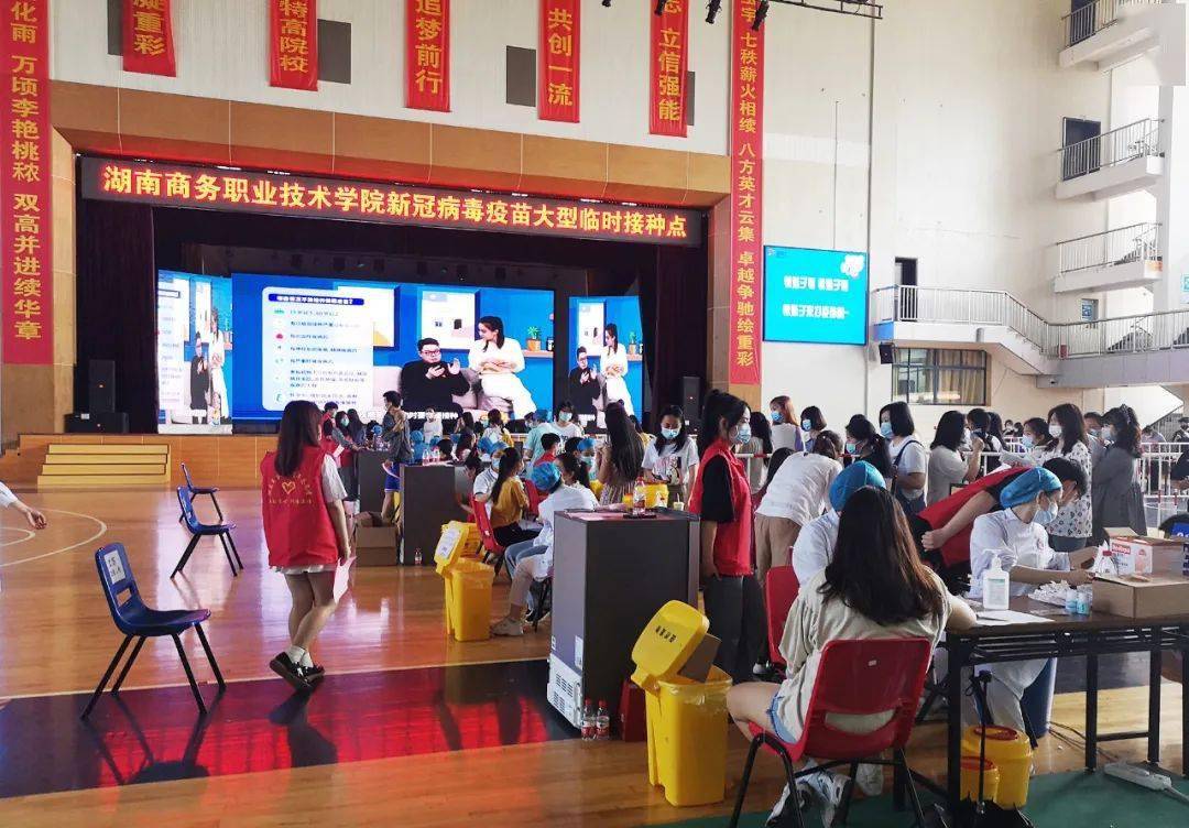 探索澳门，全面下载澳門資料大全的指南下载澳门资料大全4大生肖