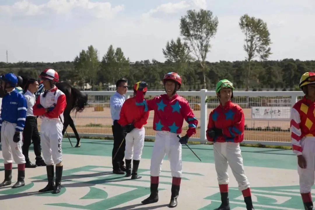 2019年香港马会开码结果直播，揭秘赛场风云与幸运瞬间香港马 会开奖结果新闻