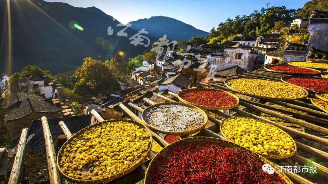 香淃六彩