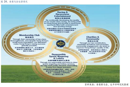蓝月亮马会精选资料大全，解锁赛马的智慧与激情蓝月亮马会精选资料大全期准优势