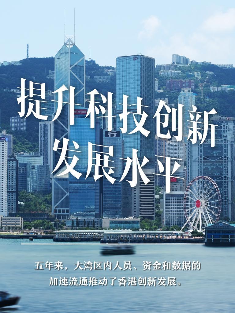 澳门免费资料大全，探索新澳门的精彩与机遇新澳门正版最新免费大全
