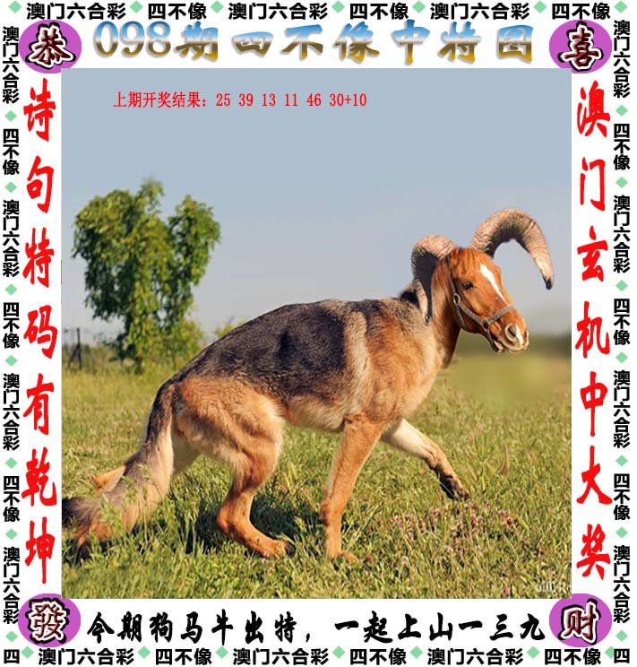 今晚必中四不像图，神秘与机遇的交织今晚必中四不像图片2019四不像41期