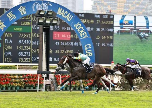 澳门特马2019年开奖结果，回顾与展望澳门特马2020开奖结果27期