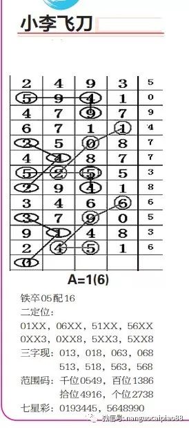 探索南国七星彩图规，揭秘传统与现代融合的魅力南国七星彩规律图