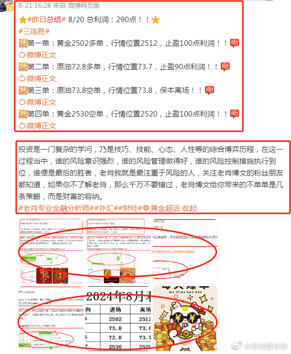 澳门管家婆资料正版大全，揭秘背后的真相与风险警示澳门管家婆资枓大全2020