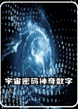 探索数字背后的奥秘，揭秘www.2935016784@qq域名与互联网的奇妙联系