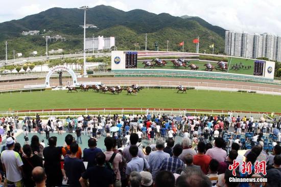 探索香港马会免费资料大全，解锁赛马的奥秘与文化