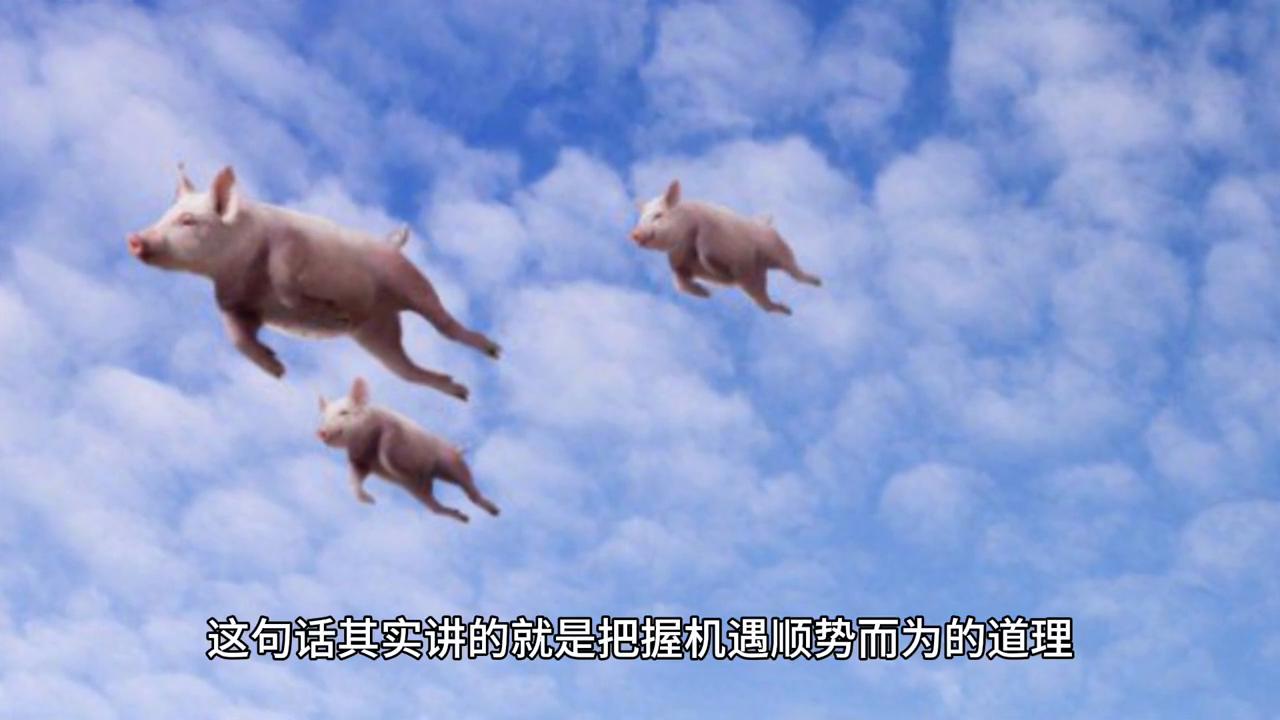 2043年，回望与展望—香港历史开奖结果的启示2024香港历史开奖结果开奖记录