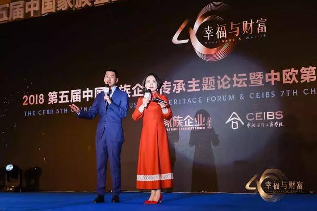 火凤凰高手论坛，网络时代的智慧碰撞与技艺传承火凤凰高手论坛官网