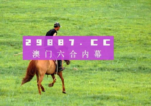2036年澳门全年资料免费大全，探索澳门的多元魅力与最新资讯2023澳门全年资料免费大全藏宝图
