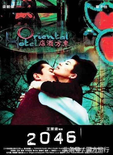2046年，澳门特料码特的未来展望与思考—从历史到未来的探索之旅2020澳门特料码特开奖记录最新版下载