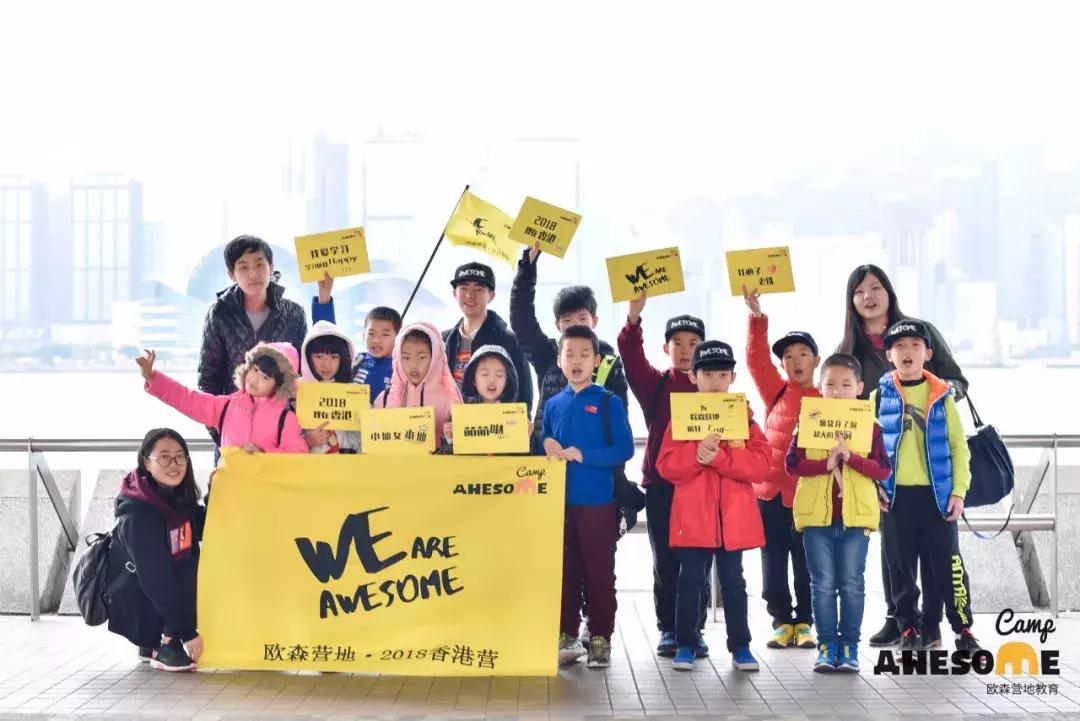 2019年香港马会资料大全，回顾与展望