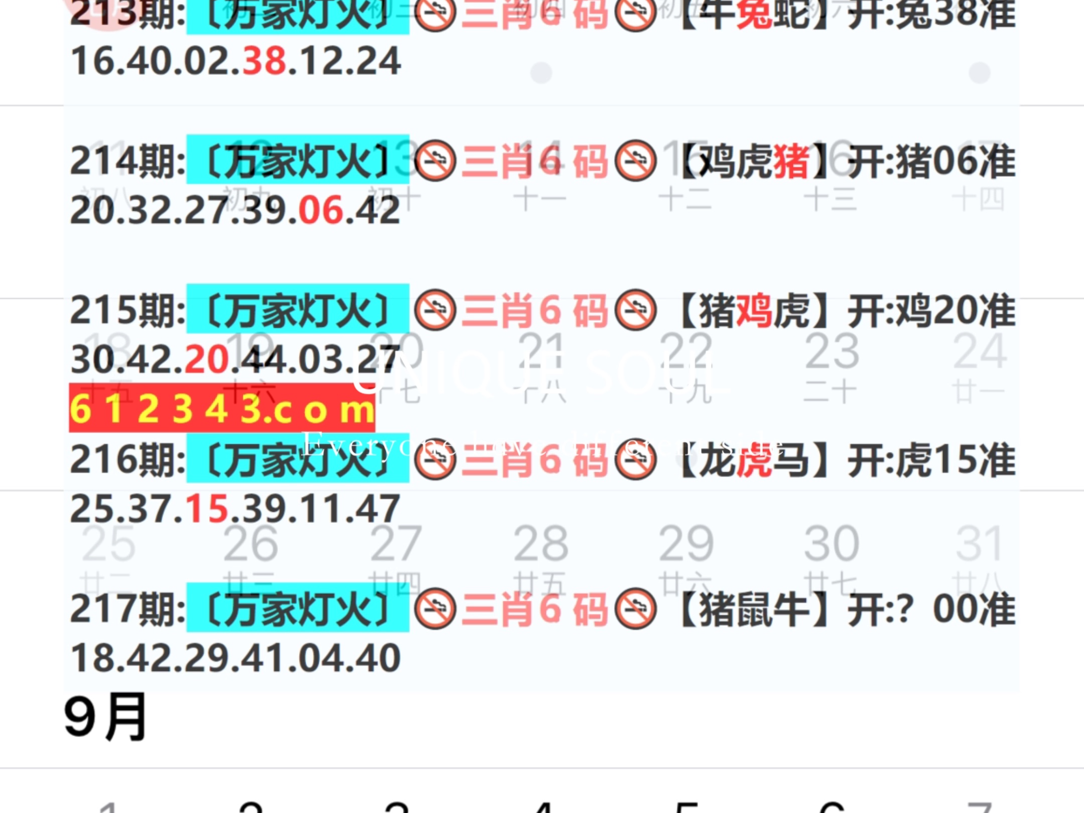 蓝月亮四肖八码精选资料，揭秘精准预测的背后蓝月亮四肖八码精选资料的功能