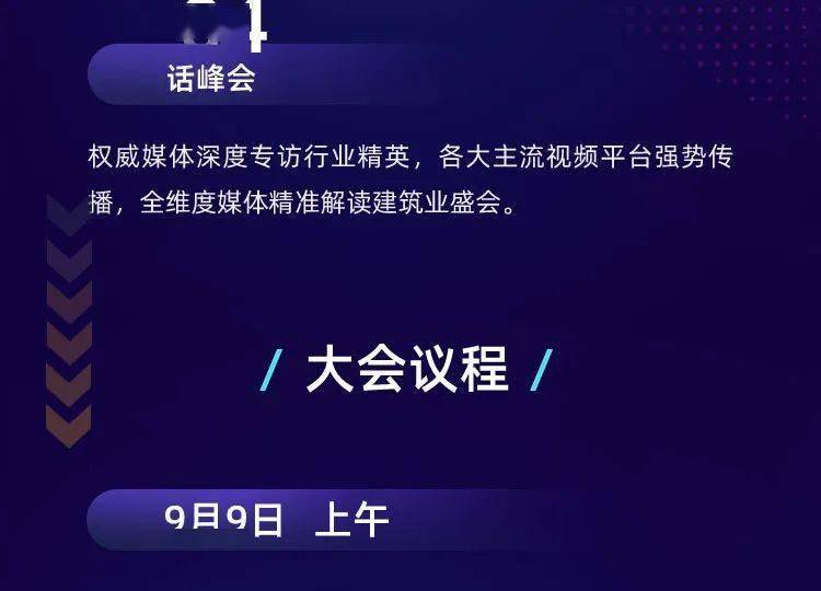 无敌平特王 第20页