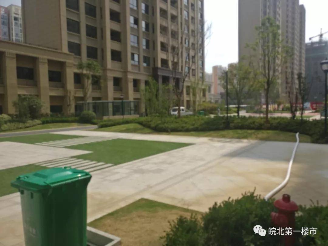 探索香港最近15期彩票开奖号码的奥秘香港最近15期开奖号码是多少手机看更方便