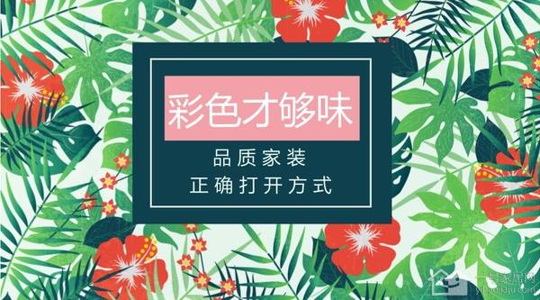 粉百合彩吧，绽放的色彩与梦想牛彩网3d字谜汇总大全92期