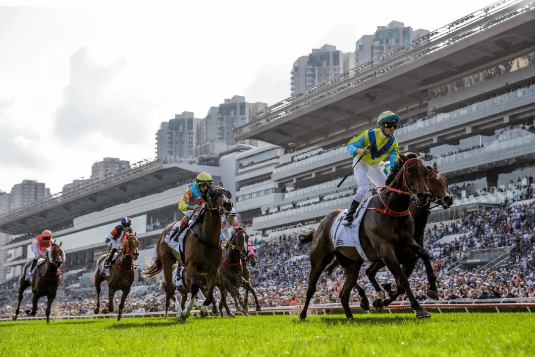 探索香港马会开奖直播，揭秘赛马的激情与科技融合马会香港开奖直播20|9年开奖自动更新