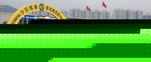 今期马会传真，揭秘赛场风云与投注策略今期马会传真更新