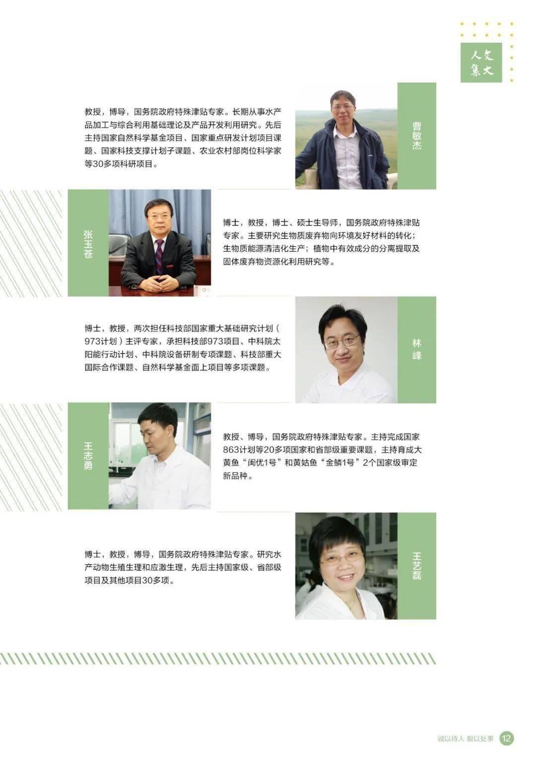 澳门天天资料大全，探索澳门的多元魅力与实用指南澳门天天资料大全那些是天