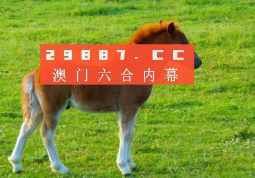 澳门码开奖记录，揭秘背后的故事与影响澳门码开奖记录下载