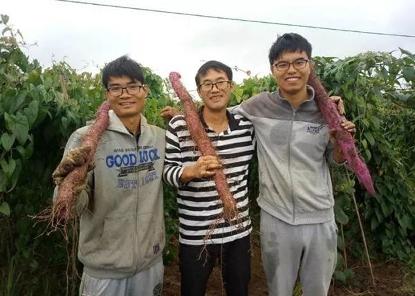 致富网629，解锁财富之门的在线平台致富网828228