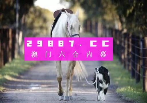 澳门六开彩，揭秘与理性对待的双重视角49图库图片 资料229期
