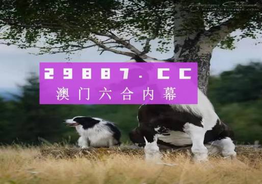 澳门跑狗3769，揭秘背后的故事与风险