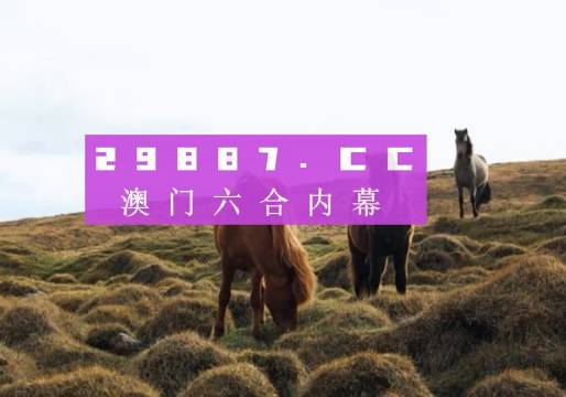 管家婆，一奖、特码与中彩的奥秘2025管家婆一奖一特一中