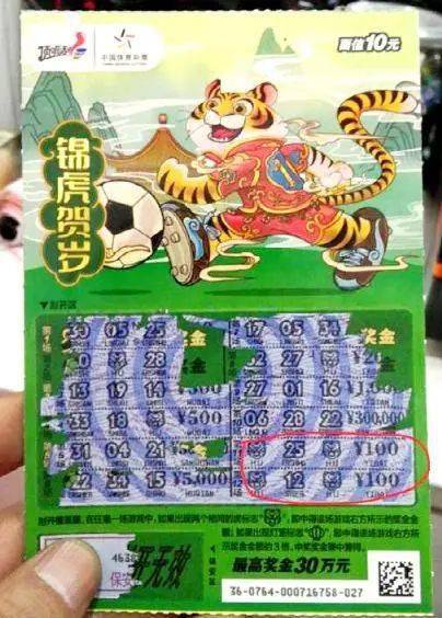 二四六天天好彩的数字魅力与246天的坚持—探索生活中的小确幸和持续努力的力量